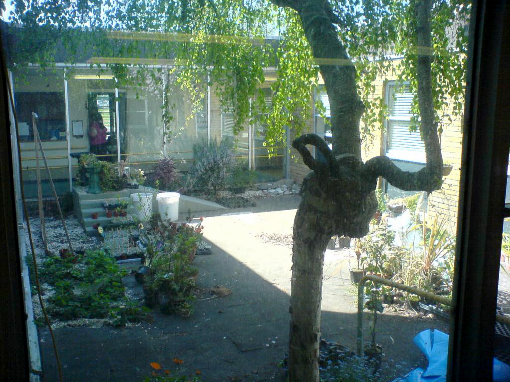 View of memorial garden and wild flowers